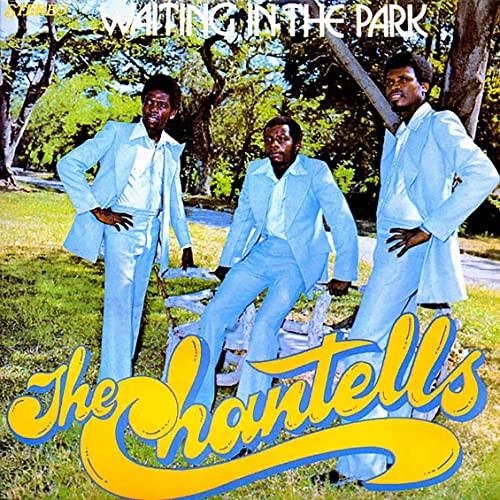 WAITING IN THE PARK [Vinyl LP] von LP