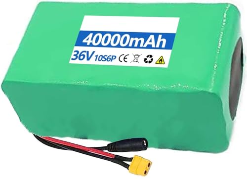 36 V 10 Ah 20 Ah 30 Ah 40 Ah Ebike-Akku, Lithium-Li-Ionen-Akku for Elektrofahrräder mit BMS-Schutzplatine und Ladegerät(XT60,36V 20AH) von LQVAIPT