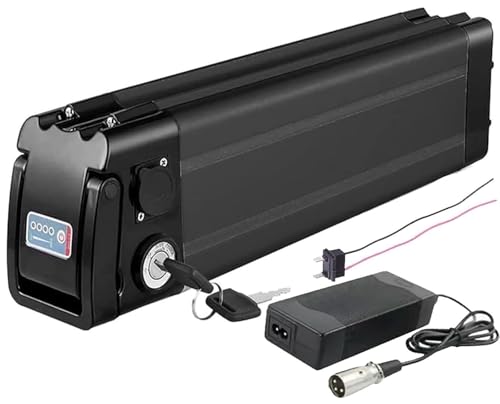 36 V 48 V 15 Ah 20 Ah E-Bike-Akku, for Lithium Li ION Eingebauter Lithium-Klapp-Elektrofahrradakku mit Ladegerät(36V 15AH) von LQVAIPT