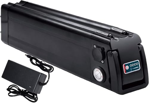 EBike-Akku 48 V 10 Ah 15 Ah 20 Ah, faltbar, eingebauter Lithium-Akku for Elektrofahrräder mit BMS-Schutzplatine, Fahrradmotor mit Ladegerät(48V 15AH,2) von LQVAIPT