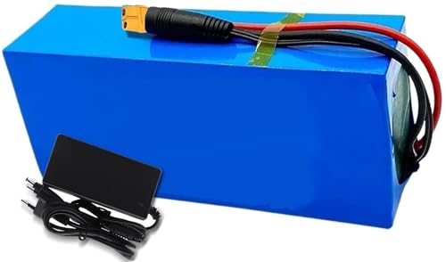 Elektrofahrradakku 48V 10Ah 15Ah 20Ah 25Ah 30Ah Elektrofahrrad-Lithium-Akkupack mit BMS-Schutzplatine und Ladegerät(48V 15AH,XT60) von LQVAIPT