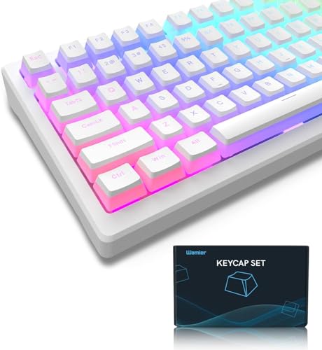 LQXQ Pudding Keycaps PBT, 165 Tasten Custom Keycap Set, OEM Profil der Tastenkappen ANSI US Layout, universelle Kompatibilität für Tastaturen 100%, 75%, 65%, 60% - Weiß (ISO Nicht unterstützt) von LQXQ