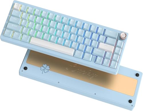 LQXQ SK65 Mechanische Gaming-Tastatur Kabellose, 60 Prozent Aluminium Tastatur, Bluetooth 5.0/2.4GHz/USB-C Wired Hot Swappable Custom RGB Backlit Keyboard für Mac Computer PC, Retro Cremig Blau von LQXQ
