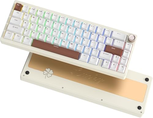 LQXQ SK65 Mechanische Gaming-Tastatur Kabellose, 60 Prozent Aluminium Tastatur, Bluetooth 5.0/2.4GHz/USB-C Wired Hot Swappable Custom RGB Backlit Keyboard für Mac Computer PC, Retro Cremig Weiß von LQXQ