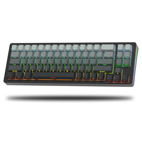 LQXQ SK71 68% Mechanische Tastatur, Bluetooth 5.0/2.4GHz Wireless/USB-C Kabel, Gaming-Tastatur All-Aluminium CNC, Hot-Swappable, RGB 14 für Mac/Win, Schwarz von LQXQ
