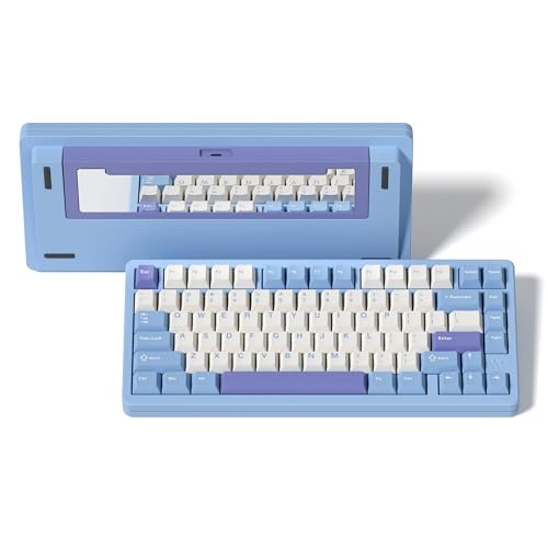 LQXQ SK75 75% Aluminium Wireless Mechanical Tastatur ANSI US, Pre-lubed POM Switches RGB Creamy Gaming Keyboard, 3-Modes BT5.0/2.4G/USB-C, Hot Swappable Keyboard mit Dichtung, Blau LQXQ SK75 75% Aluminium Wireless Mechanical Tastatur ANSI US, Pre-lubed POM Switches RGB Creamy Gaming Keyboard, 3-Modes BT5.0/2.4G/USB-C, Hot Swappable Keyboard mit Dichtung, Blau von LQXQ