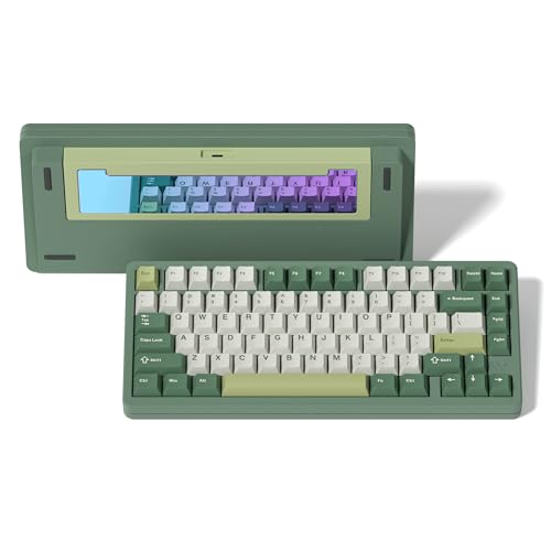 LQXQ SK75 75% Aluminium Wireless Mechanical Tastatur ANSI US, Pre-lubed POM Switches RGB Creamy Gaming Keyboard, 3-Modes BT5.0/2.4G/USB-C, Hot Swappable Keyboard mit Dichtung, Grüner LQXQ SK75 75% Aluminium Wireless Mechanical Tastatur ANSI US, Pre-lubed POM Switches RGB Creamy Gaming Keyboard, 3-Modes BT5.0/2.4G/USB-C, Hot Swappable Keyboard mit Dichtung, Grüner von LQXQ