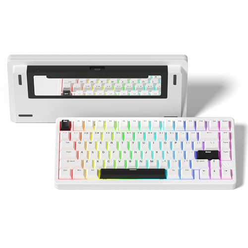 LQXQ SK75 75% Aluminium Wireless Mechanical Tastatur ANSI US, Pre-lubed POM Switches RGB Creamy Gaming Keyboard, 3-Modes BT5.0/2.4G/USB-C, Hot Swappable Keyboard mit Dichtung, Weiß LQXQ SK75 75% Aluminium Wireless Mechanical Tastatur ANSI US, Pre-lubed POM Switches RGB Creamy Gaming Keyboard, 3-Modes BT5.0/2.4G/USB-C, Hot Swappable Keyboard mit Dichtung, Weiß von LQXQ