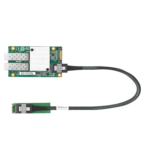 10G Dual-Port zu SFF-8087/M.2 Ethernet-Netzwerkadapter (basierend auf Mellanox X3) von LR-LINK
