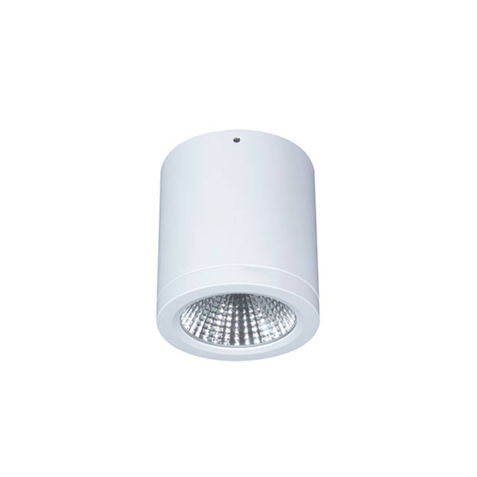 LED-Anbau-Downlight Button Mini 100 IP54 55° 16 W LED-Anbau-Downlight Button Mini 100 IP54 55° 16 W von LTS