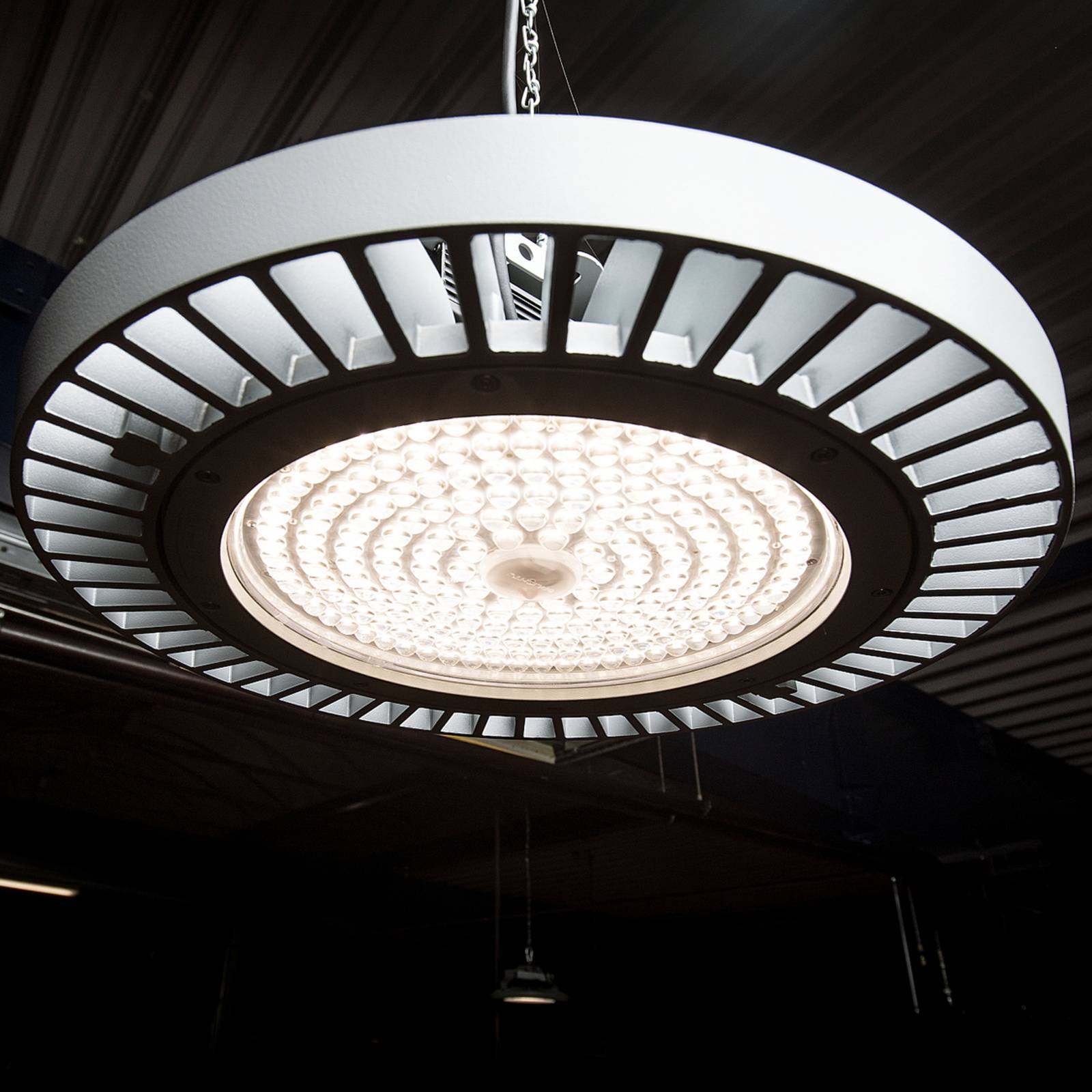 LED-Hallenstrahler FLC 840 Pendel Linse 66° 106W LED-Hallenstrahler FLC 840 Pendel Linse 66° 106W von LTS