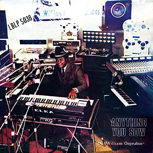 Anything You Sow [Vinyl LP] von LUAKA BOP