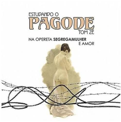 Estudando O Pagode von LUAKA BOP