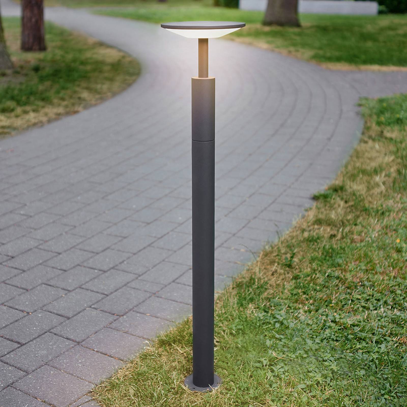 Lucande LED-Wegeleuchte Fenia, 100 cm, anthrazit, IP65 Lucande LED-Wegeleuchte Fenia, 100 cm, anthrazit, IP65 von LUCANDE