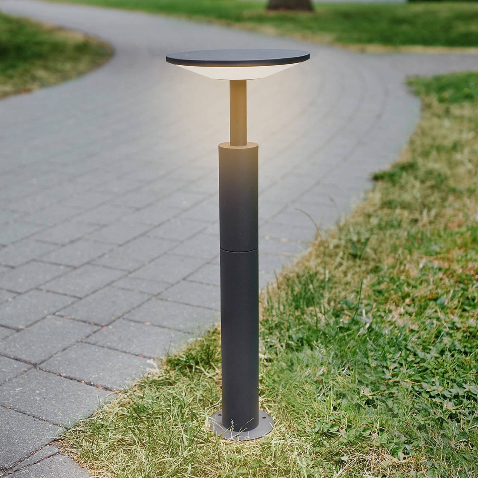 Lucande LED-Wegeleuchte Fenia, 60 cm, anthrazit, IP65 Lucande LED-Wegeleuchte Fenia, 60 cm, anthrazit, IP65 von LUCANDE