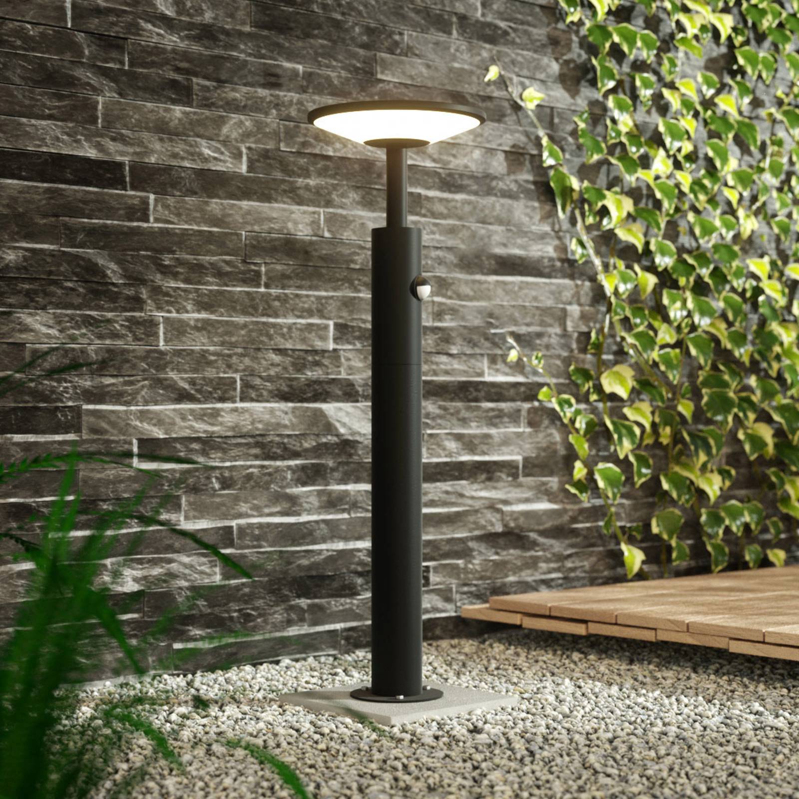 Lucande LED-Wegelampe Fenia, 60 cm, Sensor, IP54, anthrazit Lucande LED-Wegelampe Fenia, 60 cm, Sensor, IP54, anthrazit von LUCANDE