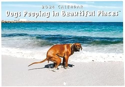 Hundekot-Wandkalender 2024, Humorvoller Hundekotkalender, Kalender Für Hundekot An Schönen Orten, Streich-Hundekot-Kalender, Wandkunst Lustiges Humor-Geschenk (B) von LUISAS