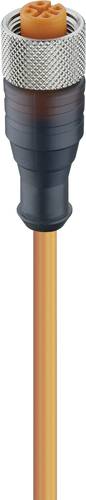 Lumberg Automation 11364-10 Sensor-/Aktor-Steckverbinder, konfektioniert M12 Buchse, gerade 5.00m Po von LUMBERG AUTOMATION