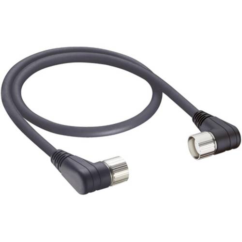 Lumberg Automation 1753 Sensor-/Aktor-Anschlussleitung M23 Stecker, gewinkelt, Kupplung, gewinkelt 1 von LUMBERG AUTOMATION