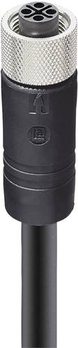 Lumberg Automation 934849339 Sensor-/Aktor-Steckverbinder, konfektioniert M12 Buchse, gerade 2.00m P Lumberg Automation 934849339 Sensor-/Aktor-Steckverbinder, konfektioniert M12 Buchse, gerade 2.00m P von LUMBERG AUTOMATION