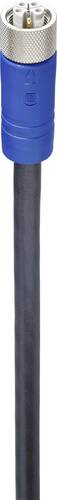 Lumberg Automation 934851081 Sensor-/Aktor-Anschlussleitung M12 Stecker, gerade 2.00m Polzahl: 5 1St Lumberg Automation 934851081 Sensor-/Aktor-Anschlussleitung M12 Stecker, gerade 2.00m Polzahl: 5 1St von LUMBERG AUTOMATION
