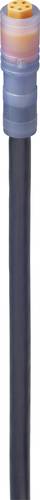 Lumberg Automation 934871013-5 Sensor-/Aktor-Anschlussleitung M8 Kupplung, gerade 2.00m Polzahl: 5 5 von LUMBERG AUTOMATION