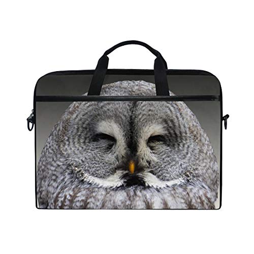 LUNLUMO Animal Owl Smile Haliaeetus 38,1 cm (15 Zoll) Laptop- und Tablet-Tasche, strapazierfähige Tablet-Hülle für Business/Uni/Damen/Herren von LUNLUMO