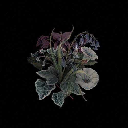 Wildflowers (2lp-Gtf/180 Gr/Black+Poster) [Vinyl LP] von LUPUS LOUNGE