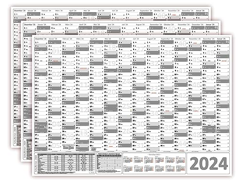 3 Stück Wandkalender/Wandplaner 2024 grau (gerollt) DIN A0 Format (841 x 1189 mm) 14 Monate, komplette Jahresvorschau Folgejahr und Ferientermine/Feiertage aller Bundesländer von LYSCO