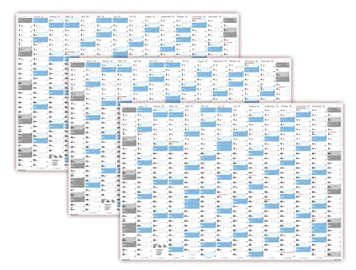 3 Stück XL Wandkalender DIN A1 2025 (blau2) große Tageskästchen (Kalender werden gerollt versendet) von LYSCO