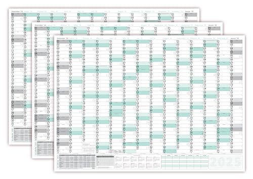 3 Stück XXXL Wandkalender 2025 - Sehr groß im DIN B0 Format (1,4 x 1,0 m) mit extra großen Tageskästchen, Schulferien, Jahresvorschau Folgejahr (gerollt) Farbe türkis von LYSCO