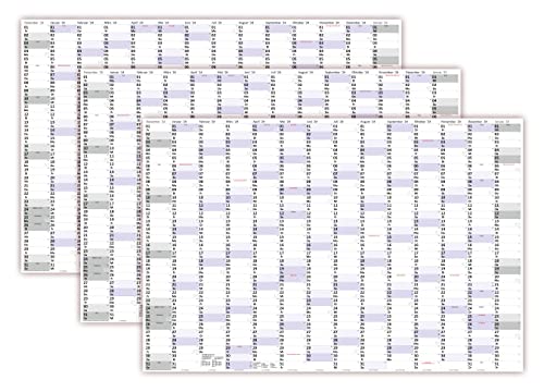 3 Stück XXXL Wandkalender Special A0 2024 nass abwischbar (Format 120 x 80cm) Jahresplaner Wandplaner gerollt mit extra großen Tageskästchen von LYSCO