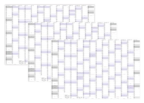 3 Stück XXXL Wandkalender Special A0 2025 nass abwischbar (Format 120 x 80cm) Jahresplaner Wandplaner gerollt mit extra großen Tageskästchen zur optimalen Verwendung von LYSCO