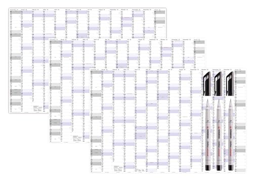 3 Stück XXXL Wandkalender Special A0 2025 nass abwischbar plus 3 Folienstifte (Format 120 x 80cm) Jahresplaner Wandplaner gerollt mit extra großen Tageskästchen zur optimalen Verwendung von LYSCO