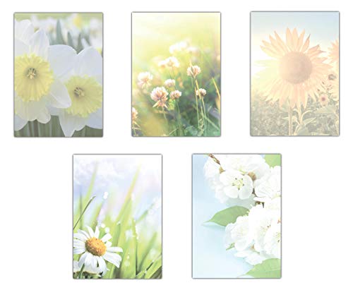 5 x 10 Blatt im Set Briefpapier Mix DIN A4 Blumen Blüten (MPA-5233) Narzissen Wiese mit Klee Sonnenblume Margeriten Aprikosenblüten Motivpapier von LYSCO