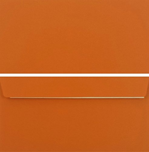 50 Stück farbige Premium Briefumschläge Briefhüllen Kuvert, Caribic Orange, DIN Lang (110 X 220mm), ohne Fenster, haftklebend, 90g/m² - Karibik Umschläge von LYSCO