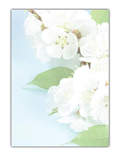 Blumen Motivpapier Briefpapier Aprikosenblüten (MPA-5211, DIN A4, 100 Blatt) von LYSCO