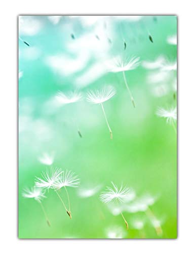Blumen Motivpapier Briefpapier Pusteblumen im Wind (MPA-5201, DIN A4, 25 Blatt) von LYSCO