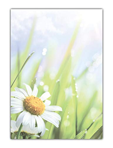 Blumen Motivpapier Briefpapier saftige Wiese mit Margeriten (MPA-5200, DIN A4, 25 Blatt) von LYSCO