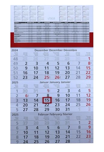 Gefaltet 3 Monats Wandkalender 2025 mit Datumschieber in Rot, inkl. Ferienübersichten und Jahresüberblick, Dreimonatskalender werbefrei, 3 Monatskalender von LYSCO