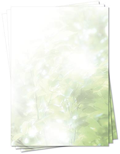 LYSCO Motiv Briefpapier (MPA-5115, DIN A4, 25 Blatt) von der Sonne leuchtend grüner Blätterwald Motivpapier von LYSCO