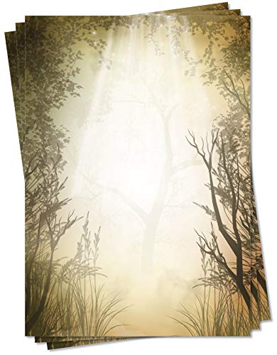 LYSCO Motiv Briefpapier (Natur-5119, DIN A4, 25 Blatt) Wald Sonne Sonnenstrahlen Lichtung Motivpapier von LYSCO
