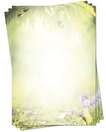 LYSCO Motiv Briefpapier (Natur-5127, DIN A4, 25 Blatt) grüne bunte Sommerwiese Gras bunte Blumen Motivpapier Laub Blätter von LYSCO