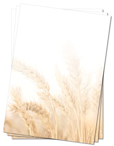 LYSCO Motivpapier Briefpapier (Feld-5066, DIN A4 100 Blatt) Getreidefeld im Sommer von LYSCO