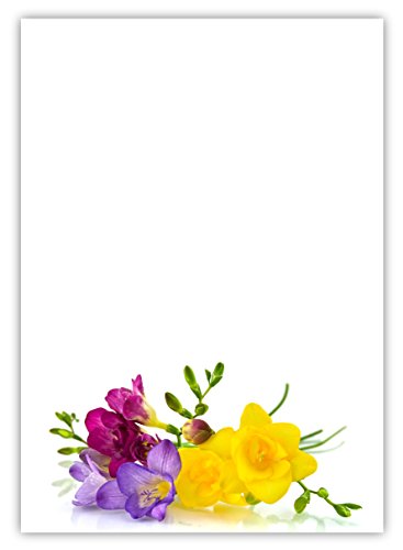 Motiv Briefpapier (Blumen-5028, DIN A4, 25 Blatt). Einseitig bedrucktes Briefpapier, sehr gut beschreibbar, Motivpapier für alle Drucker/Kopierer geeignet Motiv Blumen wunderschöne Freesien gelb lila blau von LYSCO