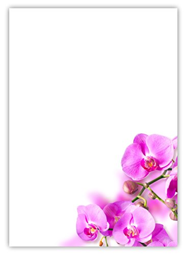 Motiv Briefpapier (Blumen-5029, DIN A4, 25 Blatt). Einseitig bedrucktes Briefpapier, sehr gut beschreibbar, Motivpapier für alle Drucker/Kopierer geeignet Motiv Blumen wunderschöne Orchideen pink rosa von LYSCO