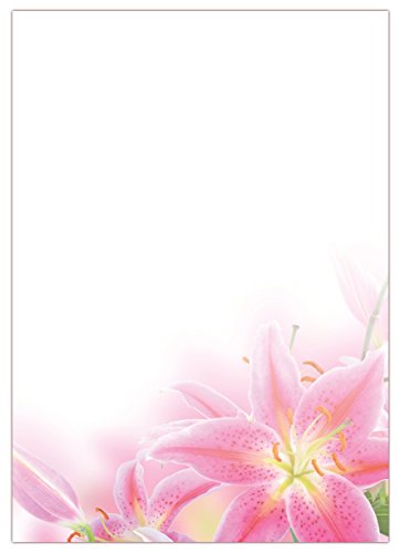 Motiv Briefpapier (Blumen-5052, DIN A4, 25 Blatt). Einseitig bedrucktes Briefpapier, sehr gut beschreibbar, für alle Drucker/Kopierer geeignet, Motivpapier mit wunderschönen rosa Lilien von LYSCO