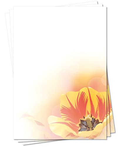 Motiv Briefpapier (Blumen-5116, DIN A4, 25 Blatt) Frühling Tulpen Tulpe rot-gelb Motivpapier Ostern von LYSCO
