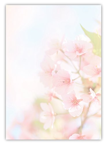 Motiv Briefpapier (Kirschblüten-5027, DIN A4, 25 Blatt). Einseitig bedrucktes Briefpapier, sehr gut beschreibbar, Motivpapier für alle Drucker/Kopierer geeignet Motiv Blumen Sommer Sonne Briefpapier Apfelblüten von LYSCO