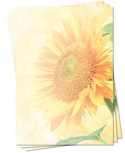 Motiv Briefpapier (Sommer-5094, DIN A4, 100 Blatt) Briefpapier mit großer goldener Sonnenblume im Sommer-Sonnenlicht von LYSCO